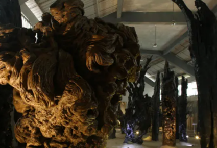 藝術(shù)博物館使用使用鋼絲繩電動葫蘆吊運文物