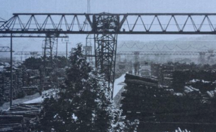 伐木場使用電動(dòng)環(huán)鏈葫蘆吊運(yùn)木頭